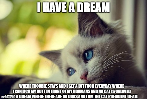 First World Problems Cat Meme | I HAVE A DREAM; WHERE TROUBLE STAYS AND I GET A LOT FOOD EVERYDAY WHERE I CAN LICK MY BUTT IN FRONT OF MY HOOMANS AND NO CAT IS UNLOVED I HAVE A DREAM WHERE THERE ARE NO DOGS AND I AM THE CAT PRESIDENT OF ALL | image tagged in memes,first world problems cat | made w/ Imgflip meme maker