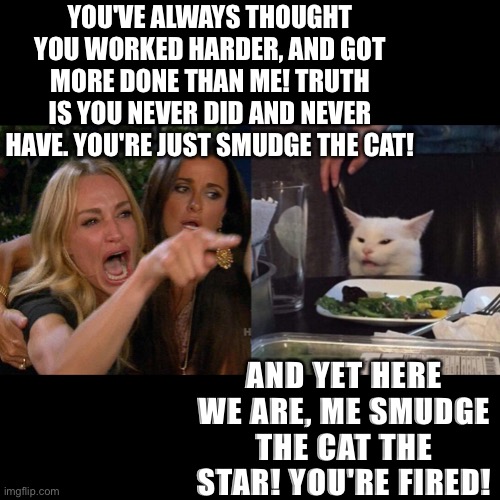 Smudge the cat boss | YOU'VE ALWAYS THOUGHT YOU WORKED HARDER, AND GOT MORE DONE THAN ME! TRUTH IS YOU NEVER DID AND NEVER HAVE. YOU'RE JUST SMUDGE THE CAT! AND YET HERE WE ARE, ME SMUDGE THE CAT THE STAR! YOU'RE FIRED! | image tagged in woman yelling at cat | made w/ Imgflip meme maker