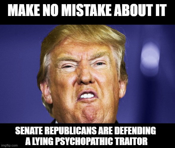 The BIG LIE  = Insurrection and Death | MAKE NO MISTAKE ABOUT IT; SENATE REPUBLICANS ARE DEFENDING 
A LYING PSYCHOPATHIC TRAITOR | image tagged in traitor,insurrection,riot,capitol riot,the big lie,impeachment | made w/ Imgflip meme maker