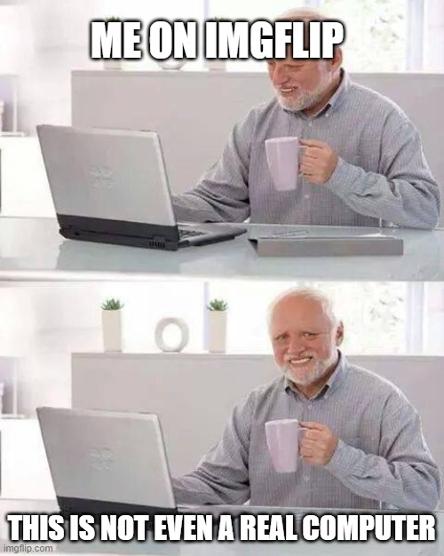 lololololol | ME ON IMGFLIP; THIS IS NOT EVEN A REAL COMPUTER | image tagged in memes,hide the pain harold | made w/ Imgflip meme maker