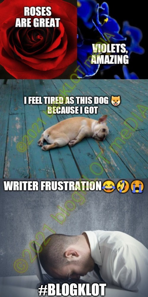 Writers frustration | image tagged in roses are red,roses are red violets are are blue,dog | made w/ Imgflip meme maker