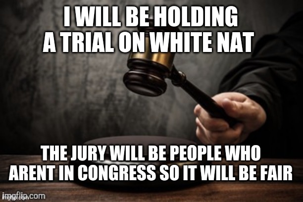 the trial will be friday | I WILL BE HOLDING A TRIAL ON WHITE NAT; THE JURY WILL BE PEOPLE WHO ARENT IN CONGRESS SO IT WILL BE FAIR | image tagged in court | made w/ Imgflip meme maker