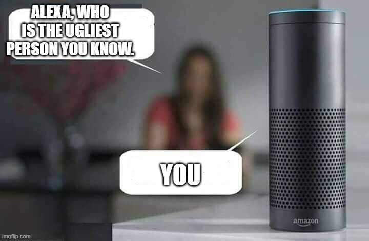 oh COME onnnnn | ALEXA, WHO IS THE UGLIEST PERSON YOU KNOW. YOU | image tagged in alexa do x | made w/ Imgflip meme maker