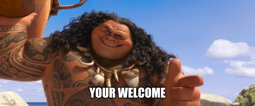 maui youre welcome | YOUR WELCOME | image tagged in maui youre welcome | made w/ Imgflip meme maker