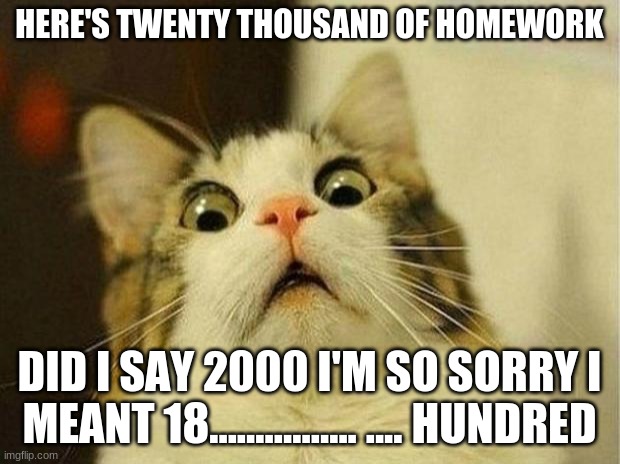 meh | HERE'S TWENTY THOUSAND OF HOMEWORK; DID I SAY 2000 I'M SO SORRY I MEANT 18................ .... HUNDRED | image tagged in memes,scared cat | made w/ Imgflip meme maker