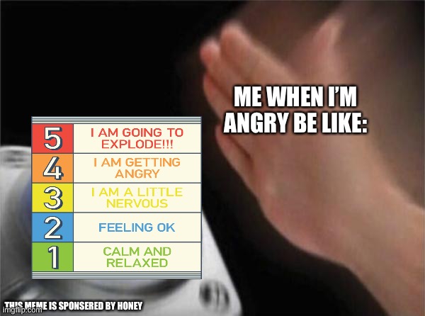 Use this when ur mad. | ME WHEN I’M ANGRY BE LIKE:; THIS MEME IS SPONSERED BY HONEY | image tagged in memes,blank nut button | made w/ Imgflip meme maker