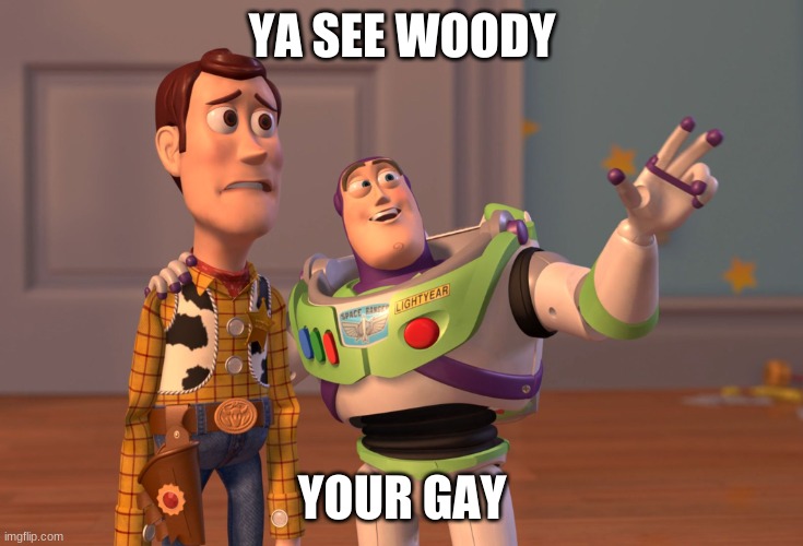 X, X Everywhere | YA SEE WOODY; YOUR GAY | image tagged in memes,x x everywhere | made w/ Imgflip meme maker