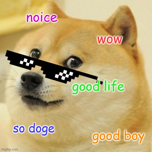 Doge | noice; wow; good life; so doge; good boy | image tagged in memes,doge | made w/ Imgflip meme maker