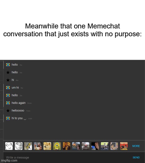 Do any of you guys have a memechat conversation that looks something like this? |  Meanwhile that one Memechat conversation that just exists with no purpose: | image tagged in memes,funny,funny memes,memechat,conversation,imgflip | made w/ Imgflip meme maker