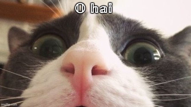 𝕆 𝕙𝕒𝕚 | made w/ Imgflip meme maker