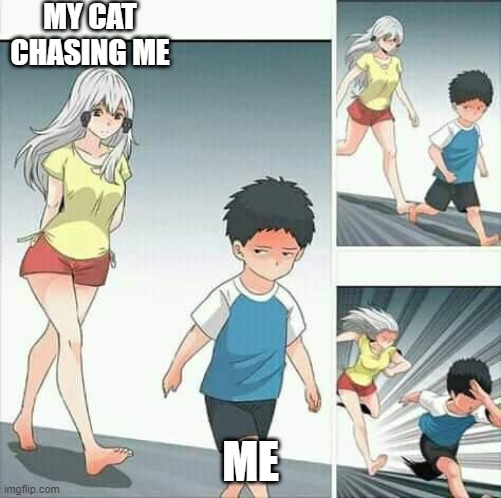 Anime boy running | MY CAT CHASING ME; ME | image tagged in anime boy running,cats | made w/ Imgflip meme maker