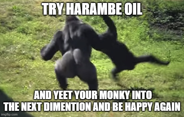harambe oil |  TRY HARAMBE OIL; AND YEET YOUR MONKY INTO THE NEXT DIMENTION AND BE HAPPY AGAIN | image tagged in gorilla throwing another gorilla | made w/ Imgflip meme maker
