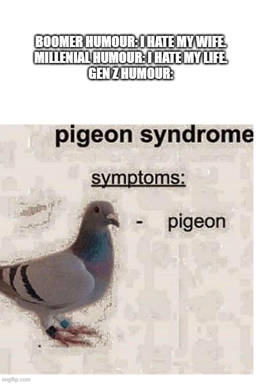 Pigeon Syndrome | BOOMER HUMOUR: I HATE MY WIFE.
MILLENIAL HUMOUR: I HATE MY LIFE.
GEN Z HUMOUR: | image tagged in humour,gen z,gen z humour | made w/ Imgflip meme maker