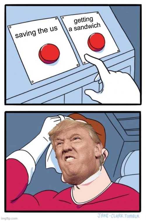 Which one? sandwich or country? | getting a sandwich; saving the us | image tagged in memes,two buttons,trump | made w/ Imgflip meme maker