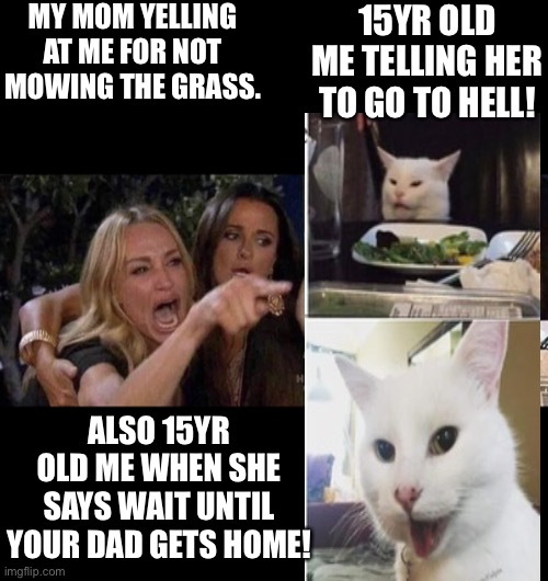 15 yr old smudge | MY MOM YELLING AT ME FOR NOT MOWING THE GRASS. 15YR OLD ME TELLING HER TO GO TO HELL! ALSO 15YR OLD ME WHEN SHE SAYS WAIT UNTIL YOUR DAD GETS HOME! | image tagged in woman yelling at cat | made w/ Imgflip meme maker