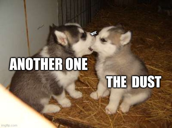 *Bite* |  *BITE*; ANOTHER ONE; THE  DUST | image tagged in memes,cute puppies | made w/ Imgflip meme maker