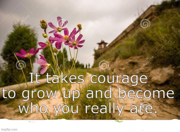 Dirt road beauty | It takes courage to grow up and become who you really are. | image tagged in dirt road beauty | made w/ Imgflip meme maker