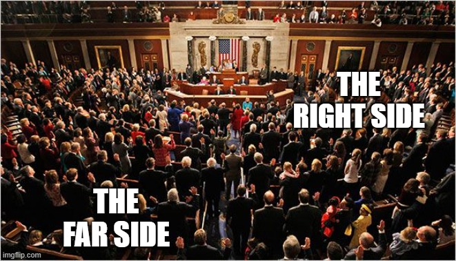 Congress | THE RIGHT SIDE; THE FAR SIDE | image tagged in congress | made w/ Imgflip meme maker