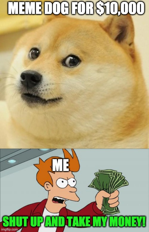 MEME DOG FOR $10,000; ME; SHUT UP AND TAKE MY MONEY! | image tagged in memes,doge,shut up and take my money fry | made w/ Imgflip meme maker