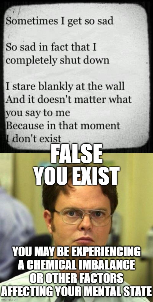False - You Exist | FALSE; YOU EXIST; YOU MAY BE EXPERIENCING A CHEMICAL IMBALANCE OR OTHER FACTORS AFFECTING YOUR MENTAL STATE | image tagged in false,so sad,existence,dwight schrute,stare | made w/ Imgflip meme maker