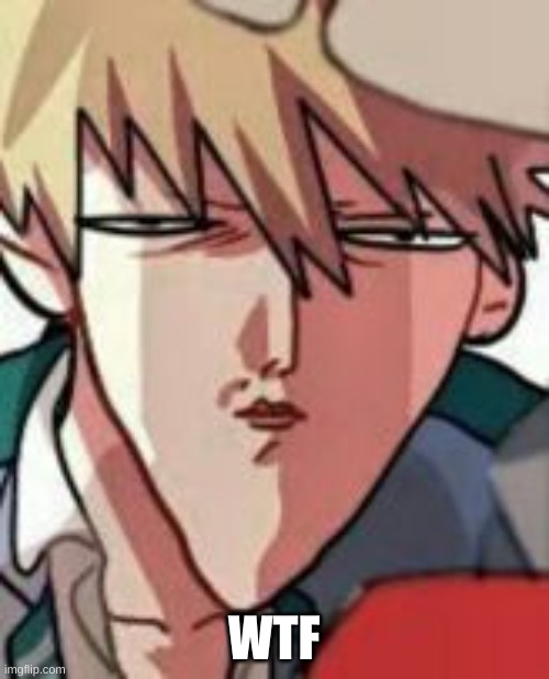 Bakugo WTF | WTF | image tagged in bakugo wtf | made w/ Imgflip meme maker
