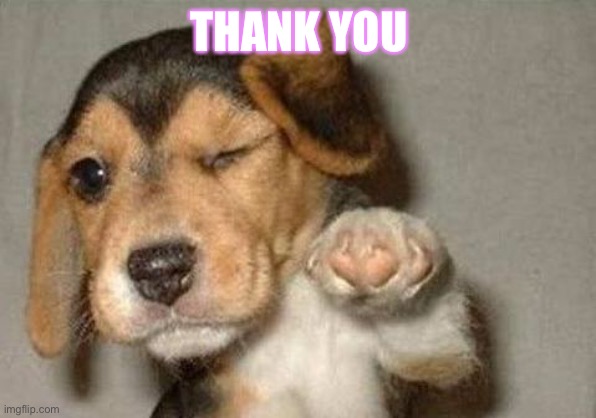 puppy | THANK YOU | image tagged in puppy | made w/ Imgflip meme maker