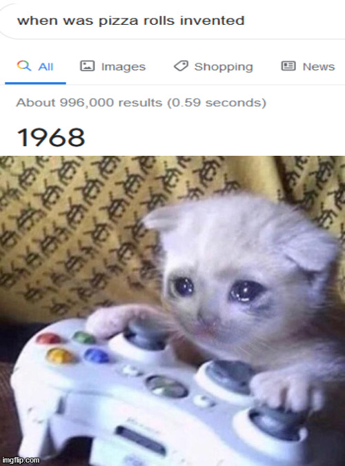 Gamers before pizza rolls | image tagged in sad gamer cat | made w/ Imgflip meme maker
