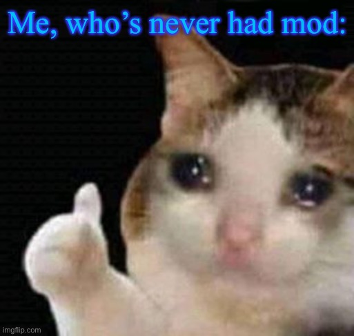 crying thumbs up | Me, who’s never had mod: | image tagged in crying thumbs up | made w/ Imgflip meme maker