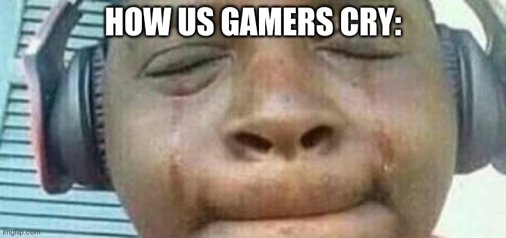 sad nibba hours | HOW US GAMERS CRY: | image tagged in sad nibba hours | made w/ Imgflip meme maker