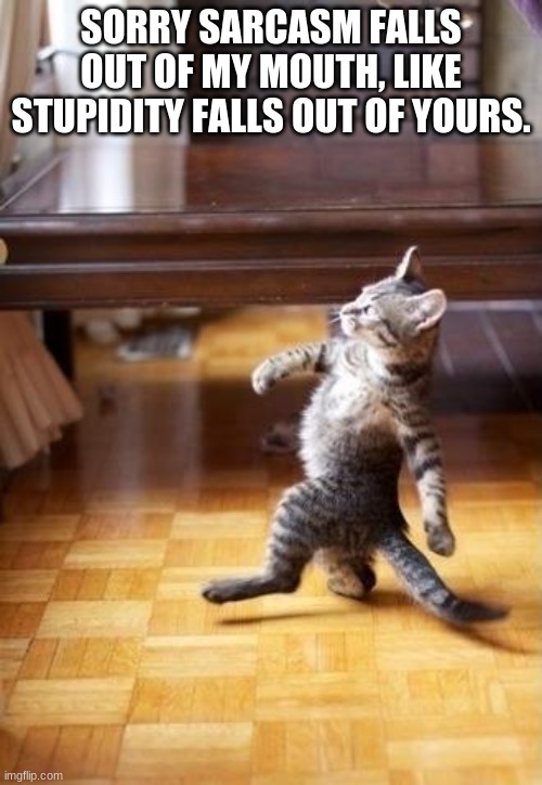 Cool Cat Stroll | SORRY SARCASM FALLS OUT OF MY MOUTH, LIKE STUPIDITY FALLS OUT OF YOURS. | image tagged in memes,cool cat stroll | made w/ Imgflip meme maker