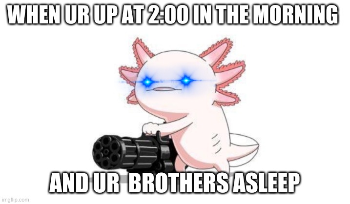 Axolotl gun | WHEN UR UP AT 2:00 IN THE MORNING; AND UR  BROTHERS ASLEEP | image tagged in axolotl gun | made w/ Imgflip meme maker