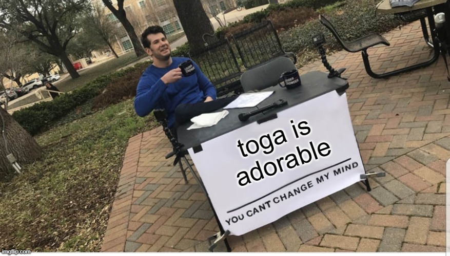 You cant change my mind | toga is adorable | image tagged in you cant change my mind | made w/ Imgflip meme maker