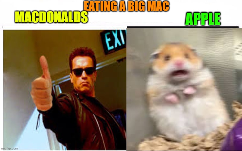 big mac apple | EATING A BIG MAC; APPLE; MACDONALDS | image tagged in big mac,apple,macdonalds,funny memes | made w/ Imgflip meme maker