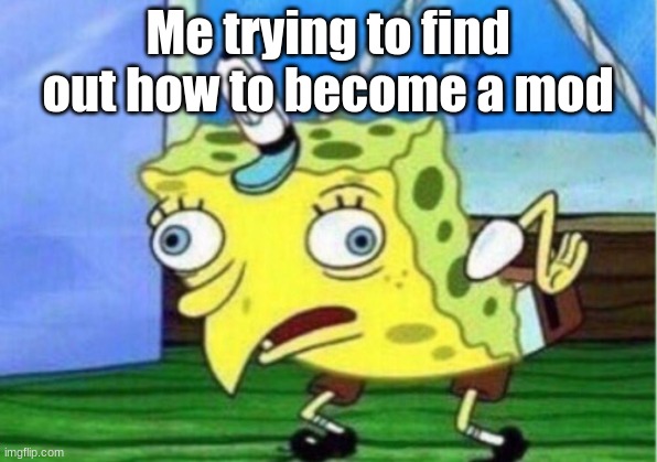 How | Me trying to find out how to become a mod | image tagged in memes,mocking spongebob | made w/ Imgflip meme maker