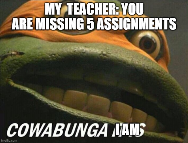 Cowabunga it is | MY  TEACHER: YOU ARE MISSING 5 ASSIGNMENTS; I AM | image tagged in cowabunga it is | made w/ Imgflip meme maker