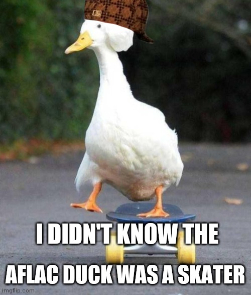 Aflac duck | AFLAC DUCK WAS A SKATER; I DIDN'T KNOW THE | image tagged in aflac | made w/ Imgflip meme maker