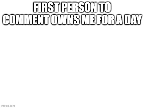 e | FIRST PERSON TO COMMENT OWNS ME FOR A DAY | image tagged in blank white template | made w/ Imgflip meme maker