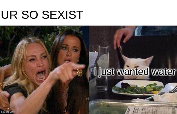 Woman Yelling At Cat | UR SO SEXIST; i just wanted water | image tagged in memes,woman yelling at cat | made w/ Imgflip meme maker