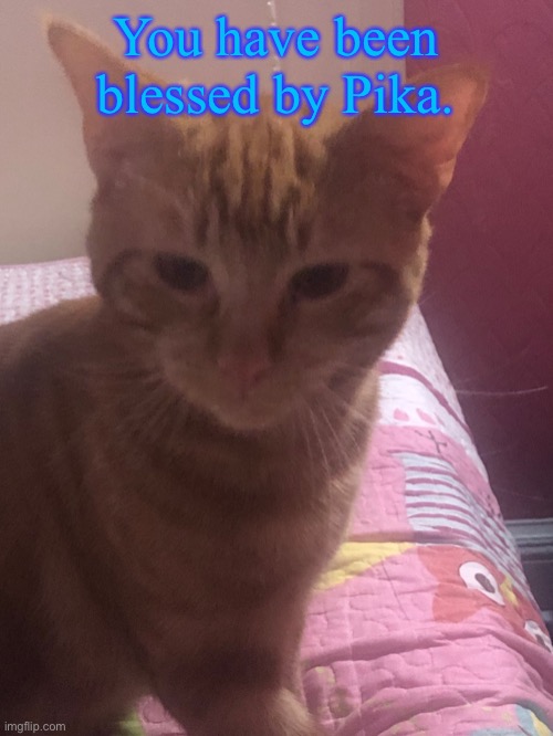 You have been blessed by Pika. | made w/ Imgflip meme maker