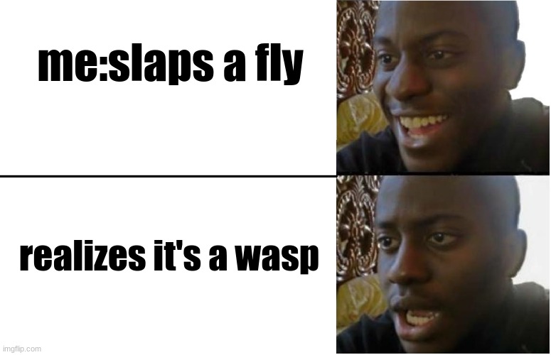 wrong bug boi | me:slaps a fly; realizes it's a wasp | image tagged in disappointed black guy | made w/ Imgflip meme maker
