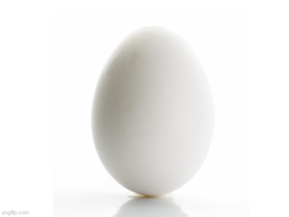 egg | image tagged in egg | made w/ Imgflip meme maker
