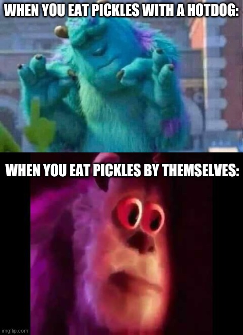 like pretty much everything, they are better with something | WHEN YOU EAT PICKLES WITH A HOTDOG:; WHEN YOU EAT PICKLES BY THEMSELVES: | image tagged in sully shutdown,sully groan,memes,relatable | made w/ Imgflip meme maker