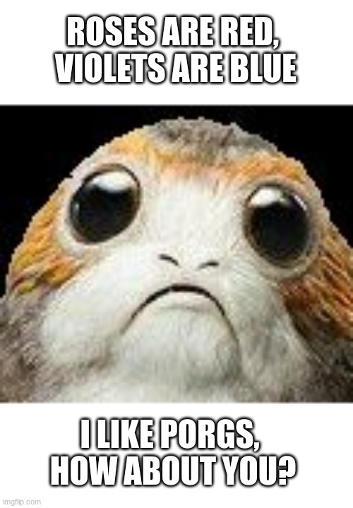 porg's poem | ROSES ARE RED, 
VIOLETS ARE BLUE; I LIKE PORGS, 
HOW ABOUT YOU? | image tagged in cute porg,porg,star wars | made w/ Imgflip meme maker