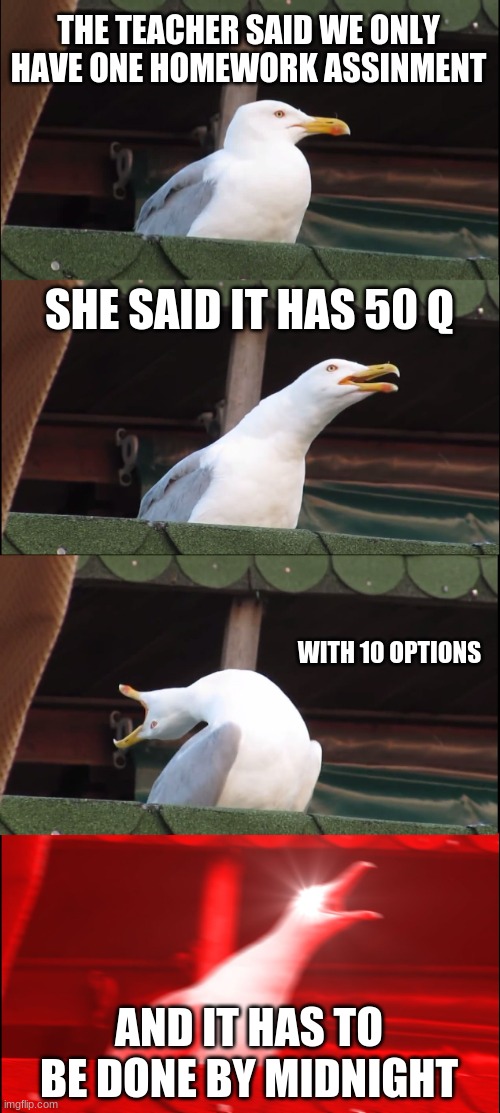 Noooooo | THE TEACHER SAID WE ONLY HAVE ONE HOMEWORK ASSINMENT; SHE SAID IT HAS 50 Q; WITH 10 OPTIONS; AND IT HAS TO BE DONE BY MIDNIGHT | image tagged in memes,inhaling seagull | made w/ Imgflip meme maker