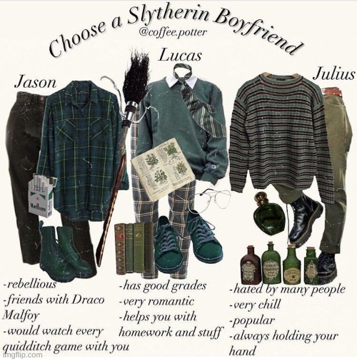 image tagged in harry potter,slytherin | made w/ Imgflip meme maker