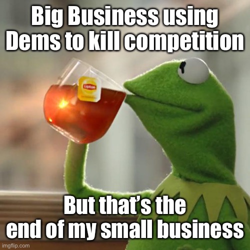 But That's None Of My Business Meme | Big Business using Dems to kill competition But that’s the end of my small business | image tagged in memes,but that's none of my business,kermit the frog | made w/ Imgflip meme maker