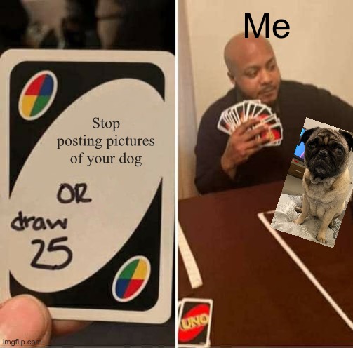 UNO Draw 25 Cards | Me; Stop posting pictures of your dog | image tagged in memes,uno draw 25 cards,dogs,pug,annoying | made w/ Imgflip meme maker