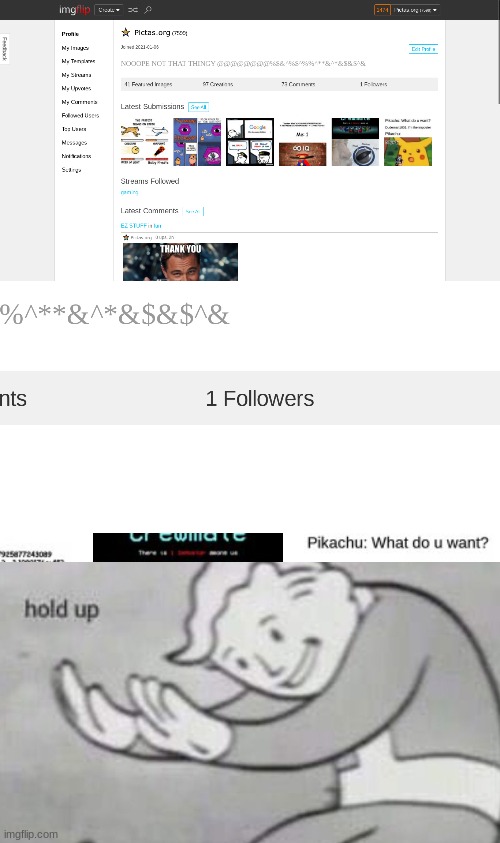 Only 1 follower??? | image tagged in profile,fallout hold up,1 follower | made w/ Imgflip meme maker
