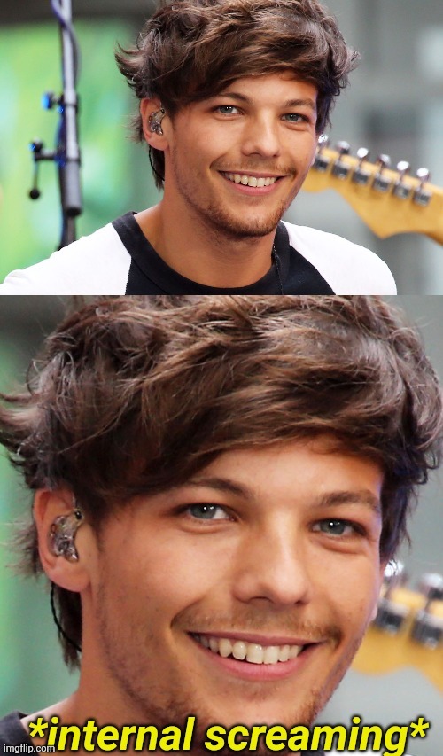 Louis Tomlinson Internal Screaming | image tagged in louis tomlinson internal screaming | made w/ Imgflip meme maker