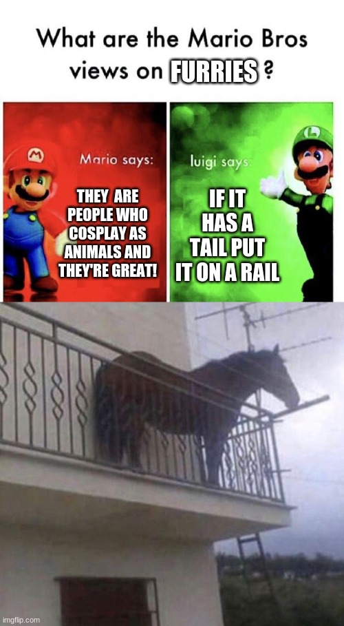 FURRIES; THEY  ARE PEOPLE WHO COSPLAY AS ANIMALS AND THEY'RE GREAT! IF IT HAS A TAIL PUT IT ON A RAIL | image tagged in mario bros views,juan | made w/ Imgflip meme maker
